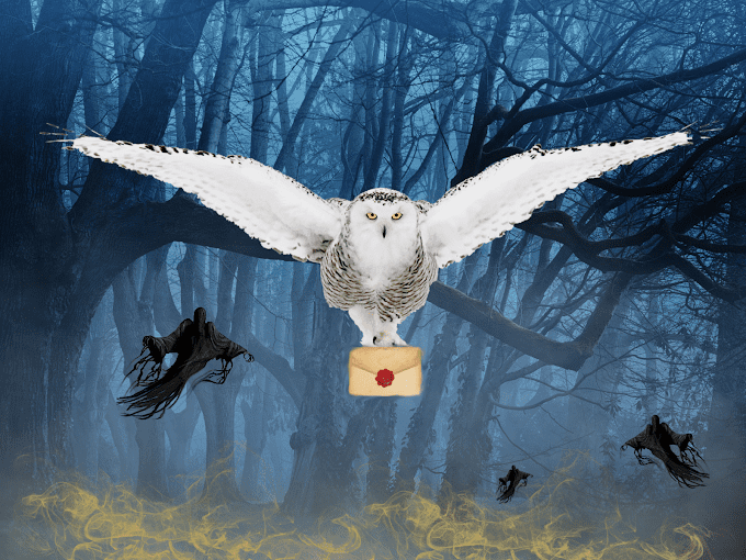 Listing cover image