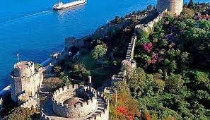 download – 2025-07-22T112327.264